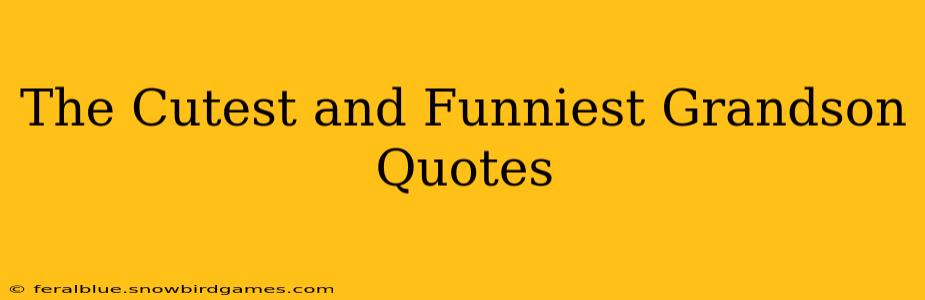 The Cutest and Funniest Grandson Quotes