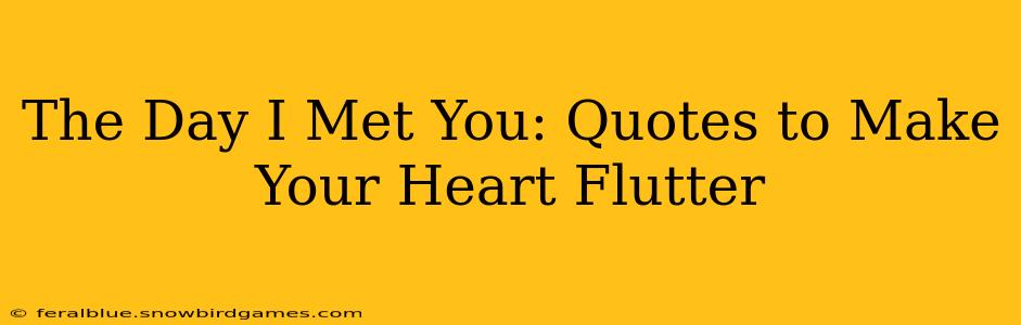 The Day I Met You: Quotes to Make Your Heart Flutter