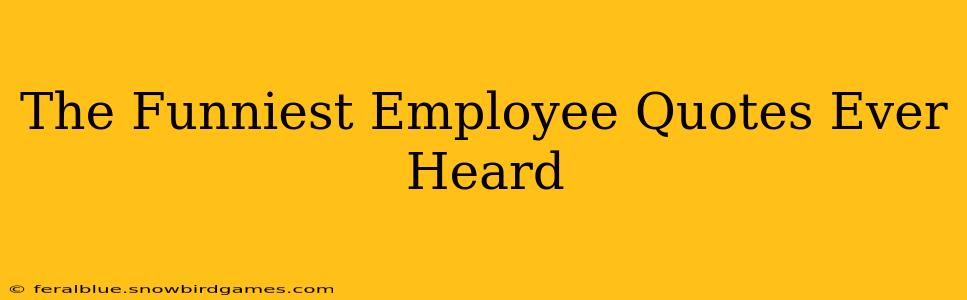 The Funniest Employee Quotes Ever Heard