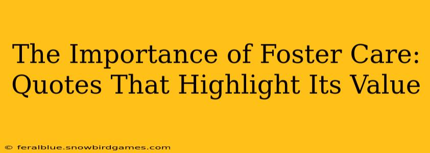 The Importance of Foster Care: Quotes That Highlight Its Value
