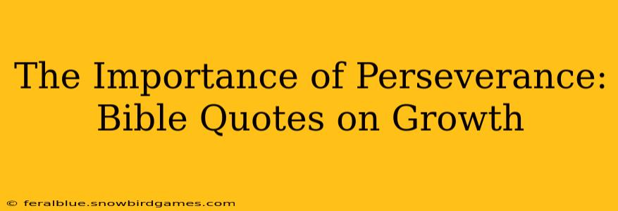 The Importance of Perseverance: Bible Quotes on Growth