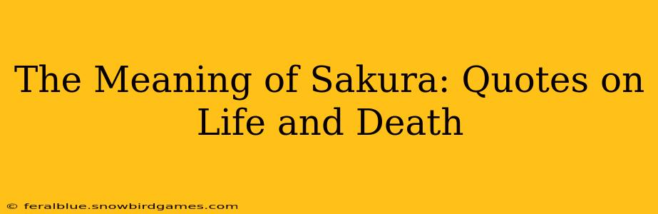 The Meaning of Sakura: Quotes on Life and Death