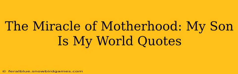 The Miracle of Motherhood: My Son Is My World Quotes