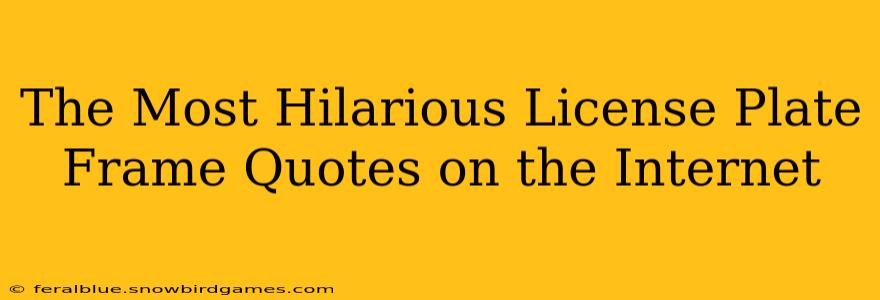 The Most Hilarious License Plate Frame Quotes on the Internet