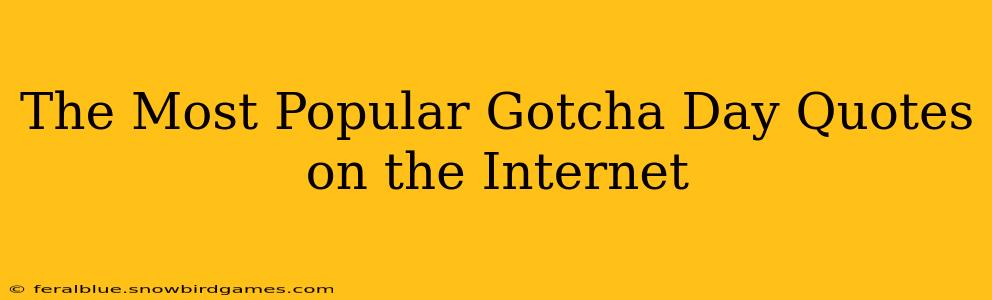The Most Popular Gotcha Day Quotes on the Internet