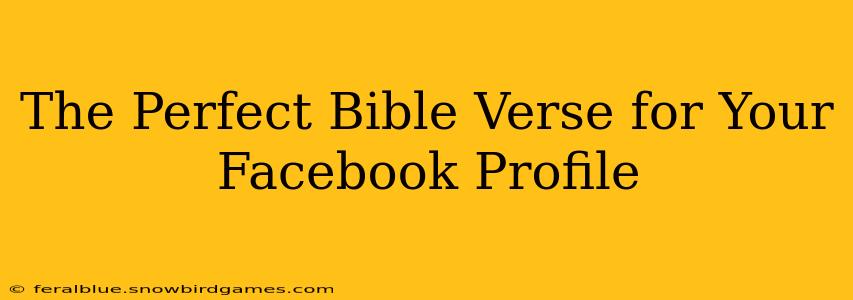The Perfect Bible Verse for Your Facebook Profile