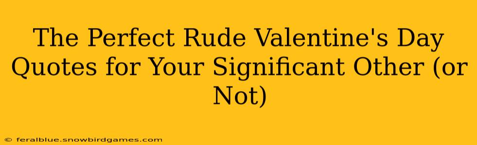 The Perfect Rude Valentine's Day Quotes for Your Significant Other (or Not)