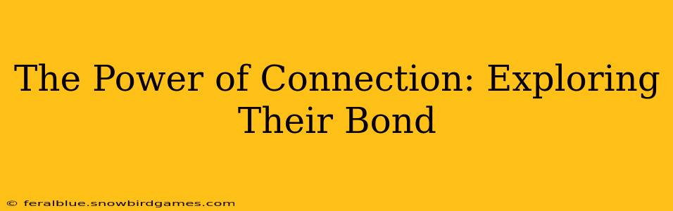 The Power of Connection: Exploring Their Bond