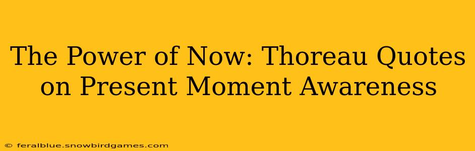 The Power of Now: Thoreau Quotes on Present Moment Awareness