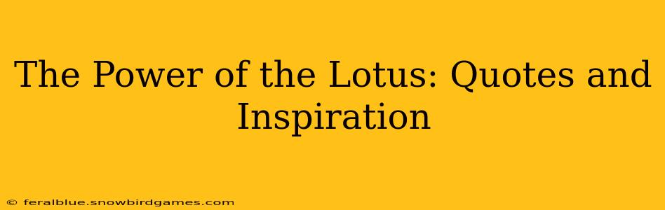 The Power of the Lotus: Quotes and Inspiration