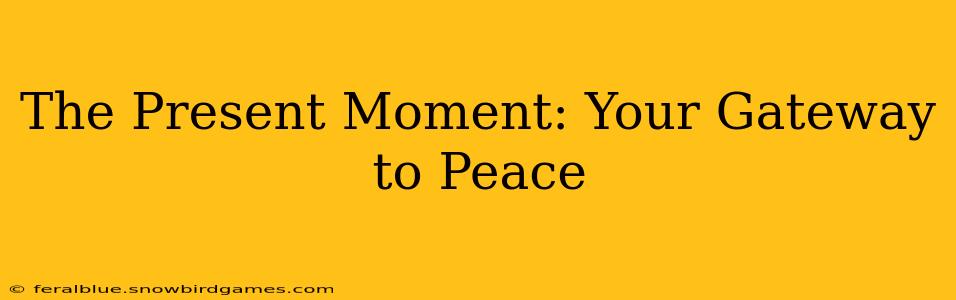 The Present Moment: Your Gateway to Peace