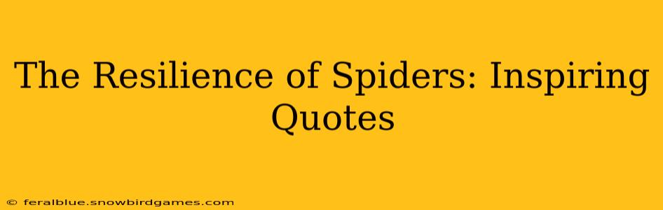 The Resilience of Spiders: Inspiring Quotes