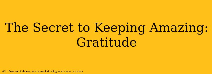 The Secret to Keeping Amazing:  Gratitude