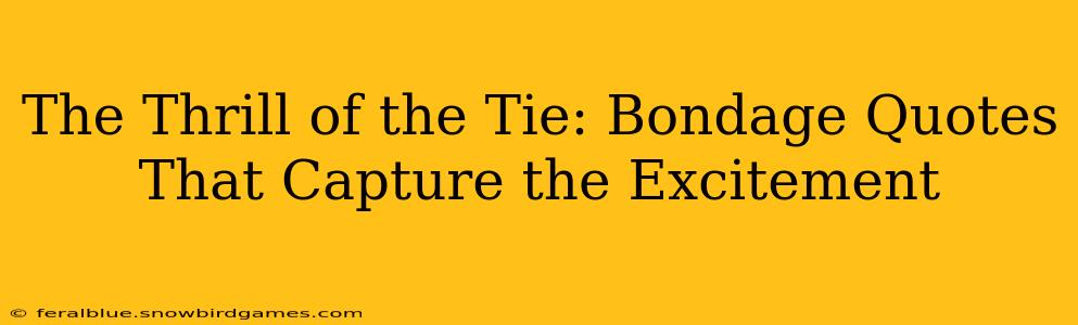 The Thrill of the Tie: Bondage Quotes That Capture the Excitement