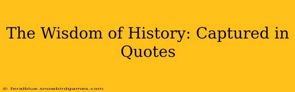 The Wisdom of History: Captured in Quotes