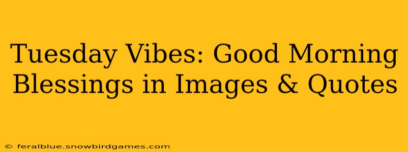 Tuesday Vibes: Good Morning Blessings in Images & Quotes