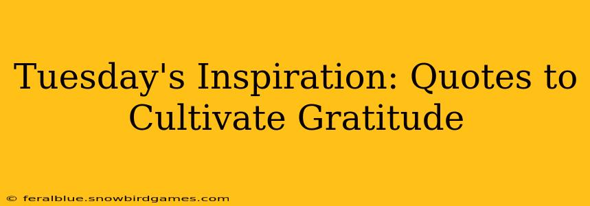 Tuesday's Inspiration: Quotes to Cultivate Gratitude