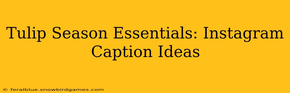 Tulip Season Essentials: Instagram Caption Ideas