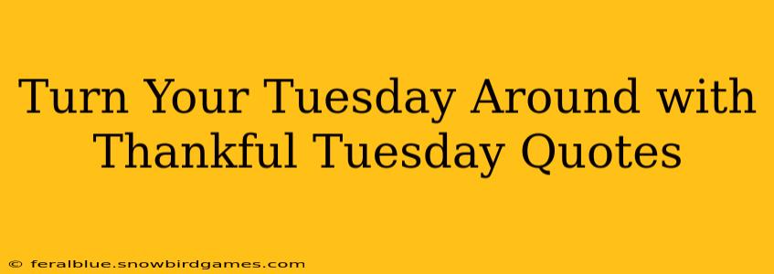 Turn Your Tuesday Around with Thankful Tuesday Quotes