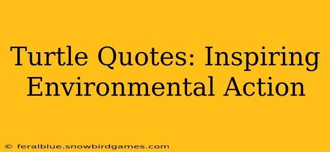 Turtle Quotes: Inspiring Environmental Action