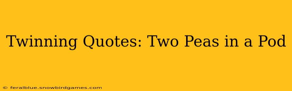 Twinning Quotes: Two Peas in a Pod