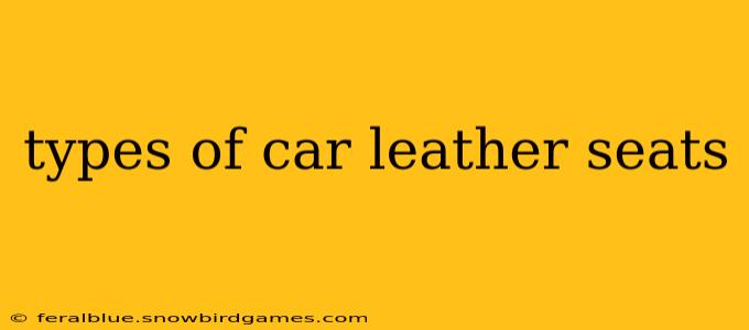 types of car leather seats