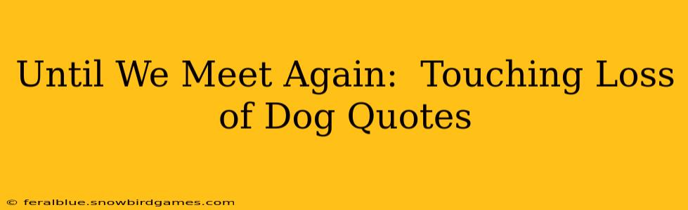 Until We Meet Again:  Touching Loss of Dog Quotes