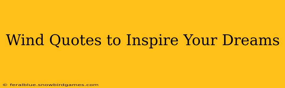Wind Quotes to Inspire Your Dreams