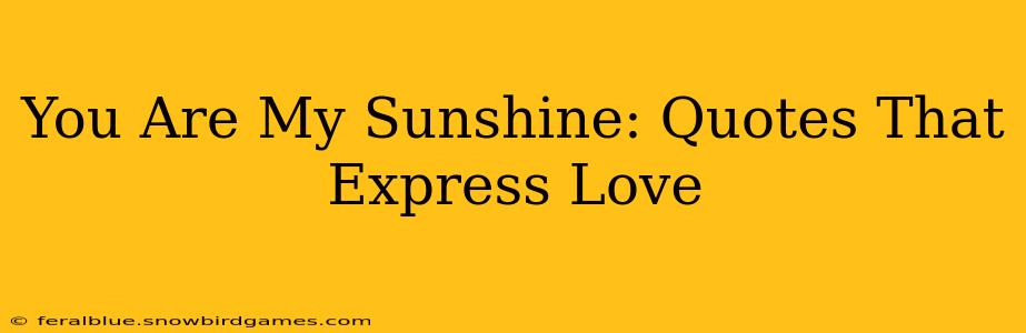 You Are My Sunshine: Quotes That Express Love