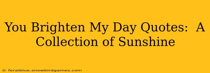You Brighten My Day Quotes:  A Collection of Sunshine